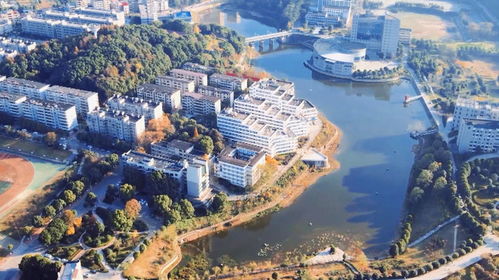 邵陽(yáng)學(xué)院花巨資引海歸博士 批量培養(yǎng)是否可取